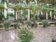 260 Longwood Gardens [2008 August 23]